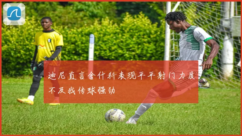 迪尼直言舍什科表现平平射门力度不及我传球强劲