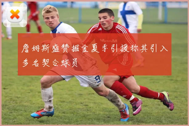 詹姆斯盛赞掘金夏季引援称其引入多名契合球员